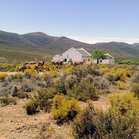 African Game Lodge مونتاغو المظهر الخارجي الصورة