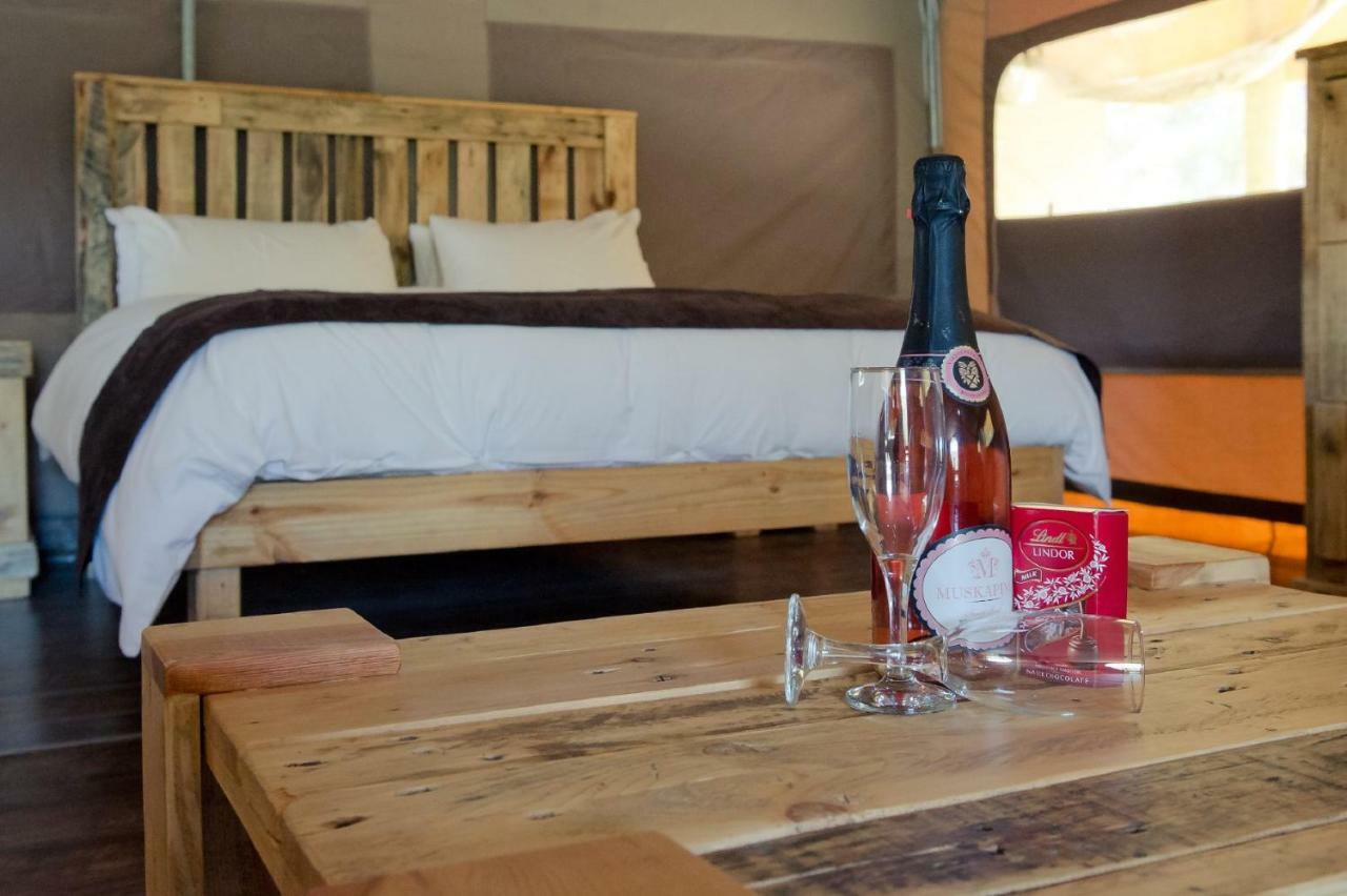 African Game Lodge مونتاغو المظهر الخارجي الصورة
