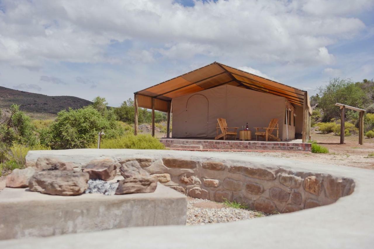 African Game Lodge مونتاغو المظهر الخارجي الصورة